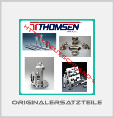 Thomsen Group Llc