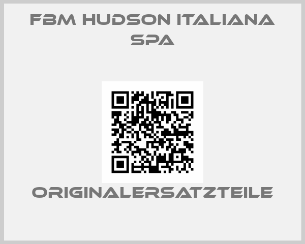 FBM Hudson Italiana SpA