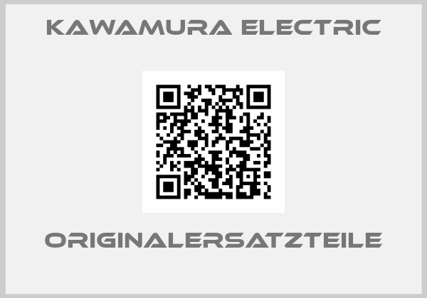 KAWAMURA ELECTRIC