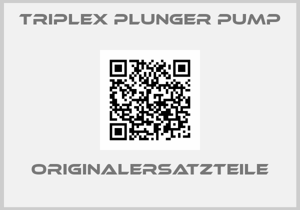 Triplex Plunger Pump