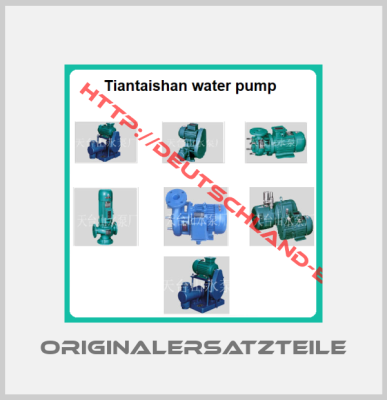 Tiantaishan water pump 