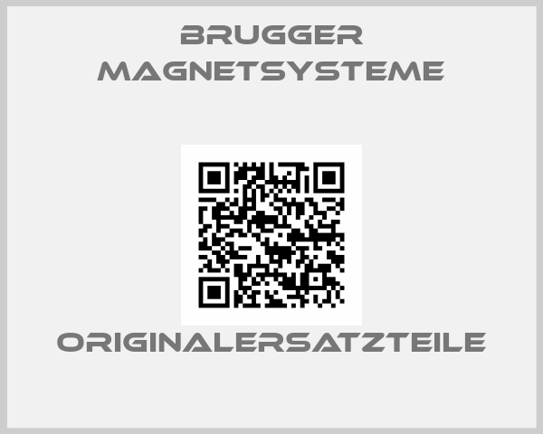 BRUGGER MAGNETSYSTEME