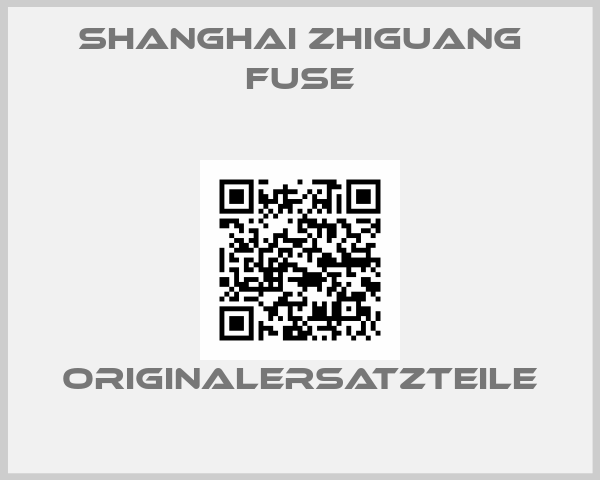 Shanghai Zhiguang Fuse