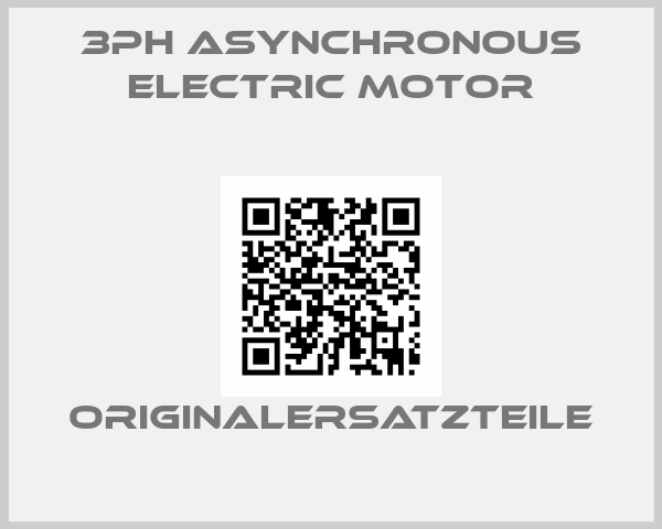 3PH Asynchronous Electric Motor