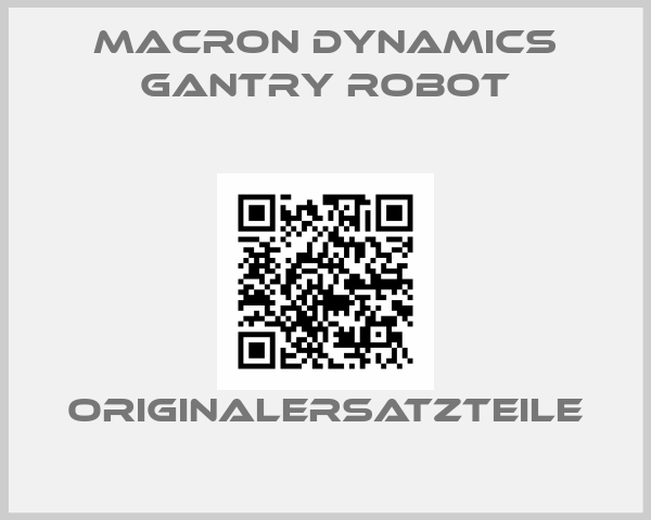 Macron Dynamics Gantry robot