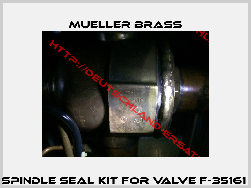 Spindle seal kit for valve F-35161 -1