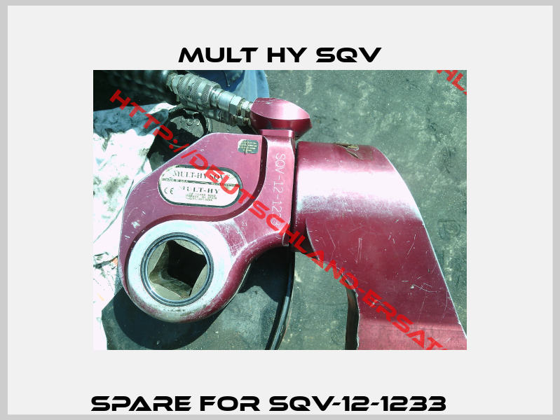 Spare For SQV-12-1233   -6