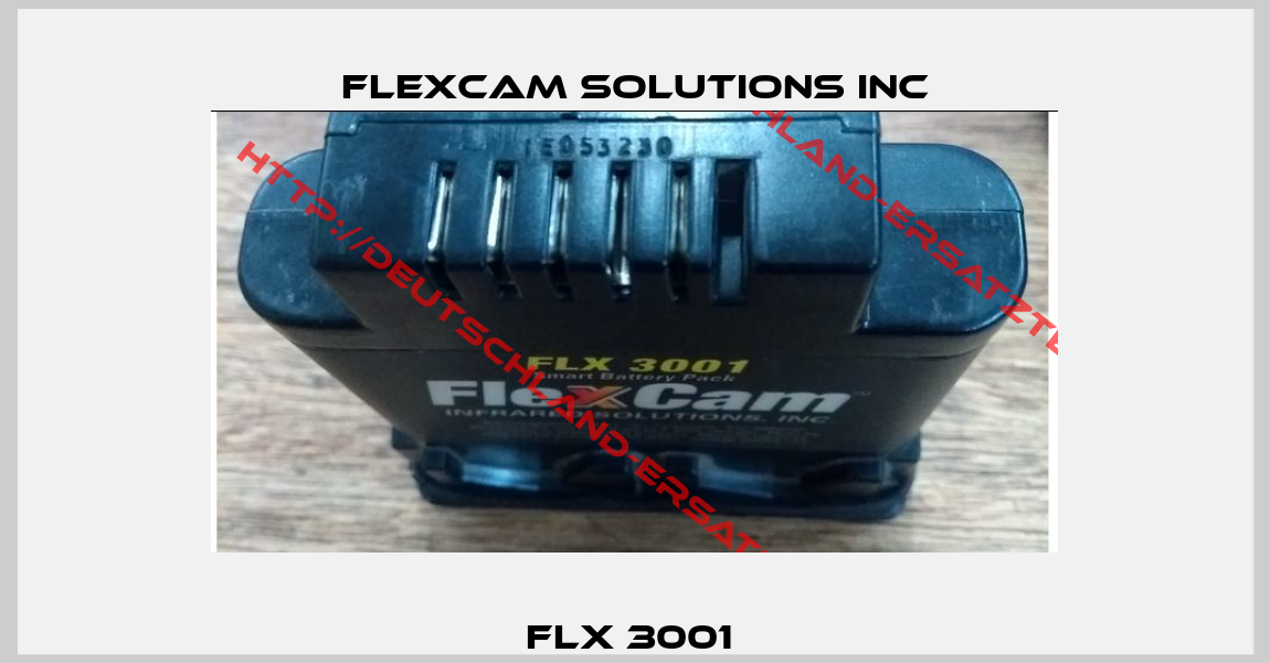 FLX 3001 -1