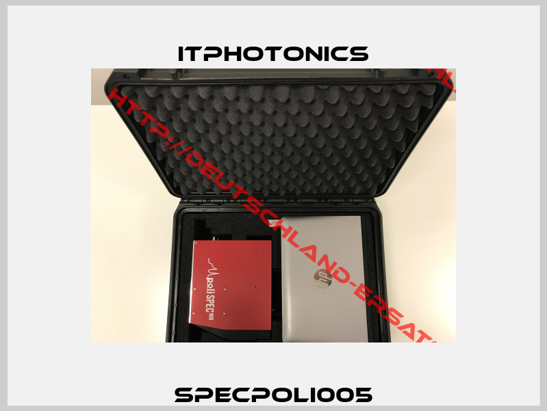 SPECPOLI005-1