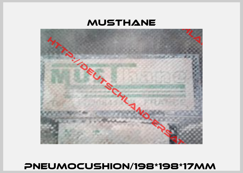 pneumocushion/198*198*17mm -1