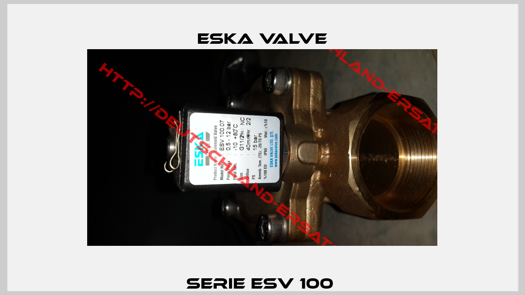 Serie ESV 100 -0