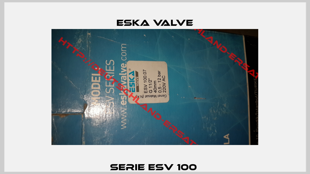 Serie ESV 100 -1
