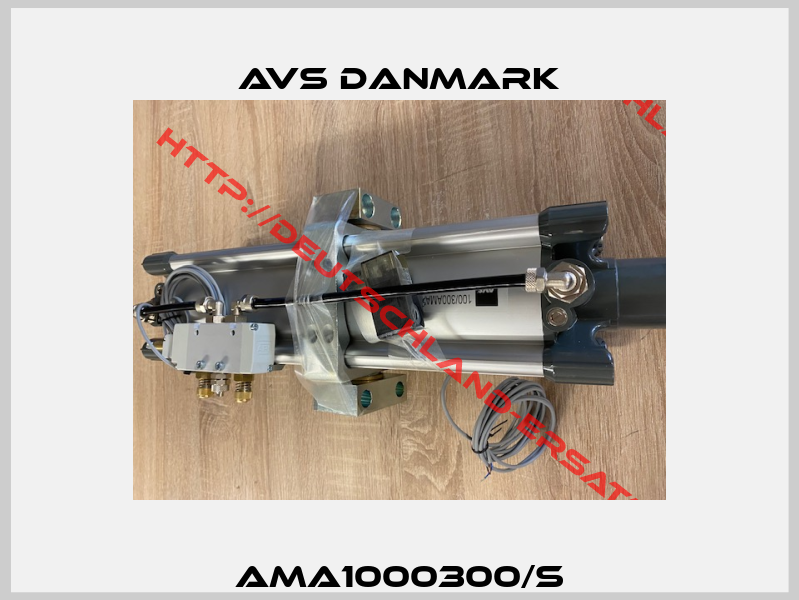AMA1000300/S-1