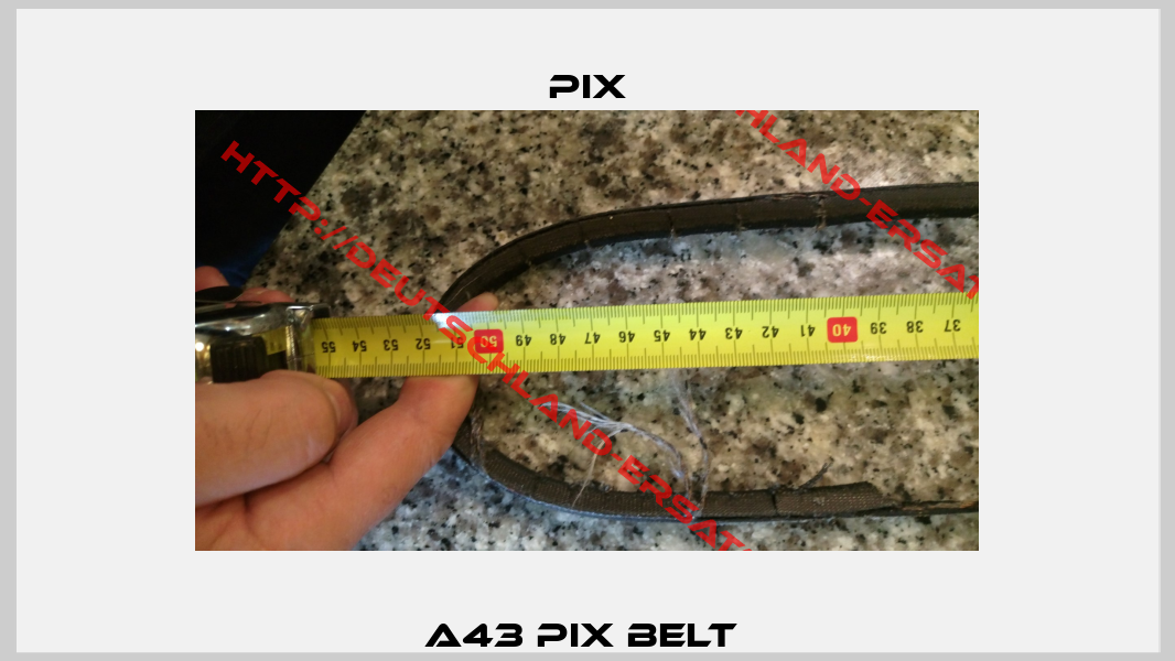 A43 PIX Belt -0