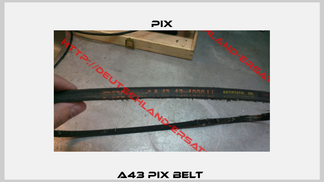 A43 PIX Belt -1