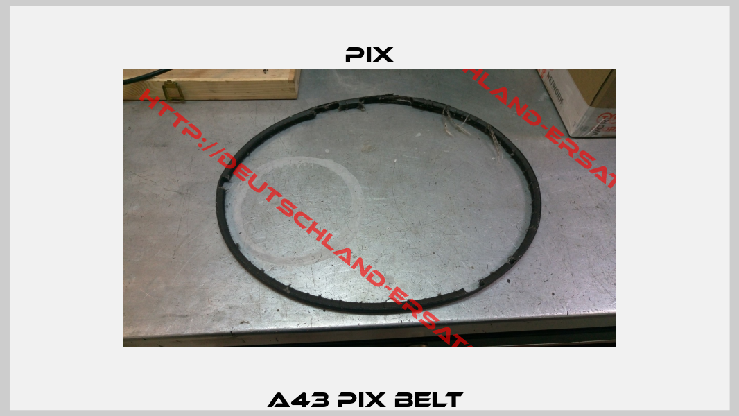 A43 PIX Belt -2