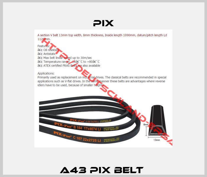 A43 PIX Belt -4