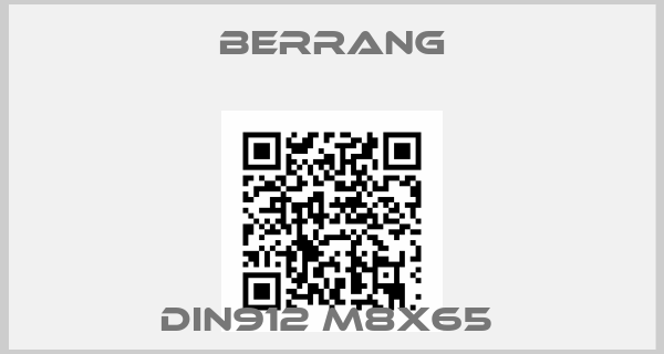 Berrang-DIN912 M8x65 