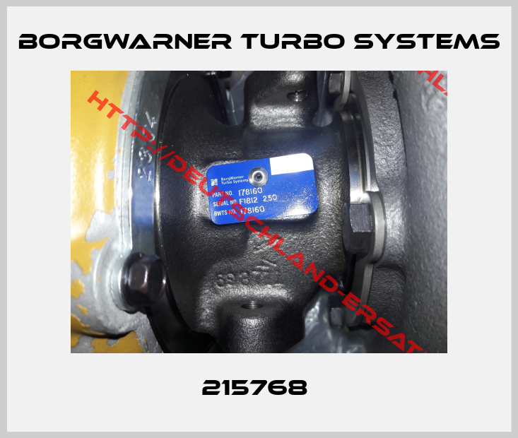 Borgwarner turbo systems-215768 