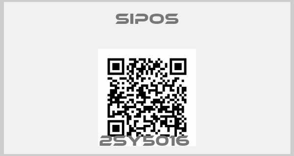 Sipos-2SY5016 