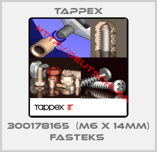 Tappex-300178165  (M6 X 14MM) FASTEKS 