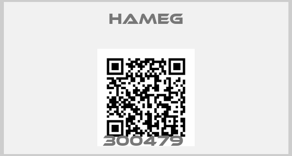 Hameg-300479 