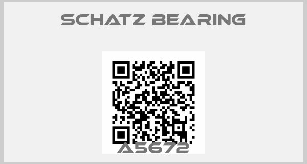 Schatz bearing-A5672