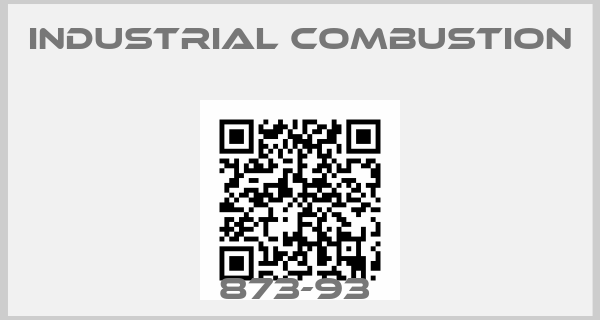 Industrial Combustion-873-93 