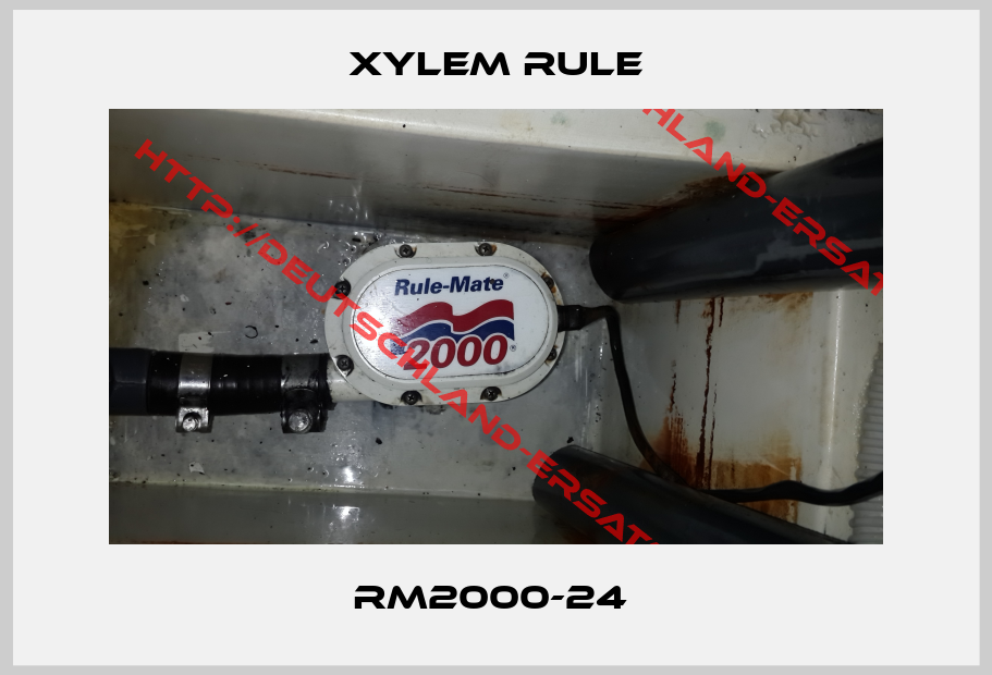 Xylem Rule-RM2000-24 