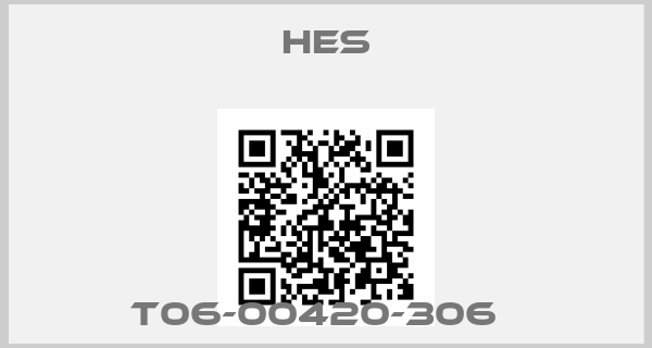 Hes-T06-00420-306  
