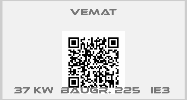 Vemat-37 KW  BAUGR. 225   IE3 