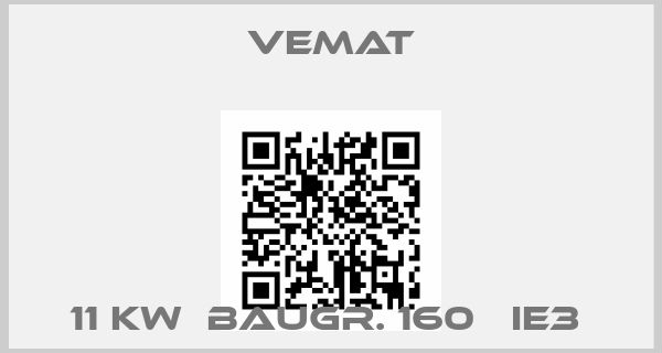 Vemat-11 KW  BAUGR. 160   IE3 