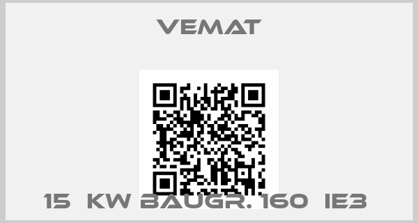 Vemat-15  KW BAUGR. 160  IE3 