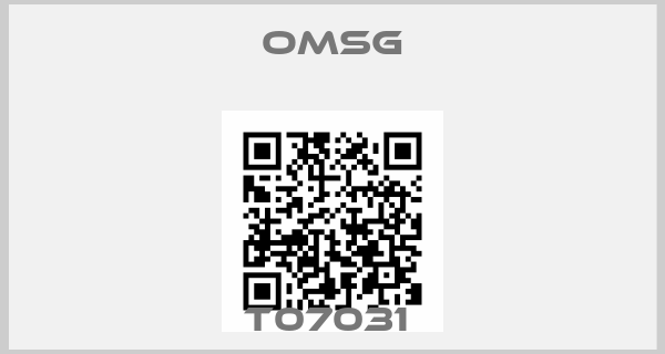 Omsg-T07031 