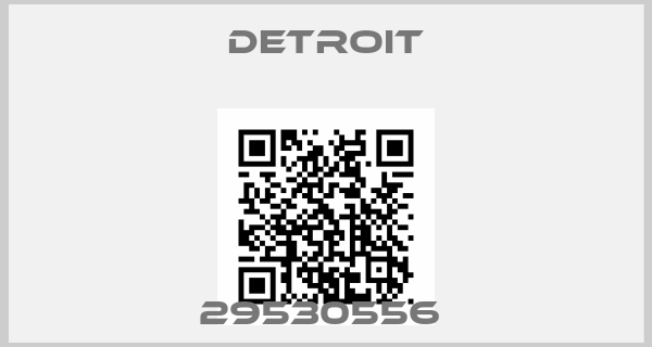 Detroit-29530556 