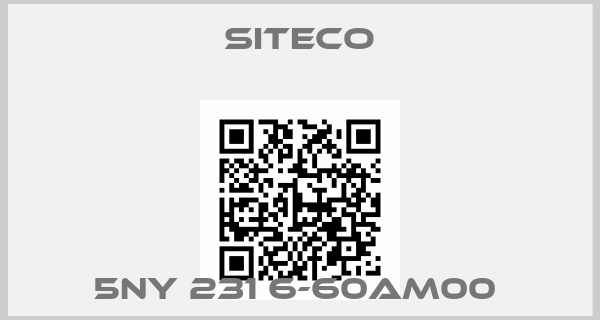 Siteco-5NY 231 6-60AM00 