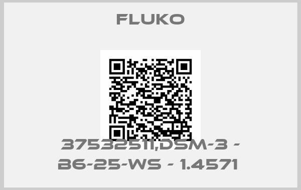Fluko-37532511,DSM-3 - B6-25-WS - 1.4571 