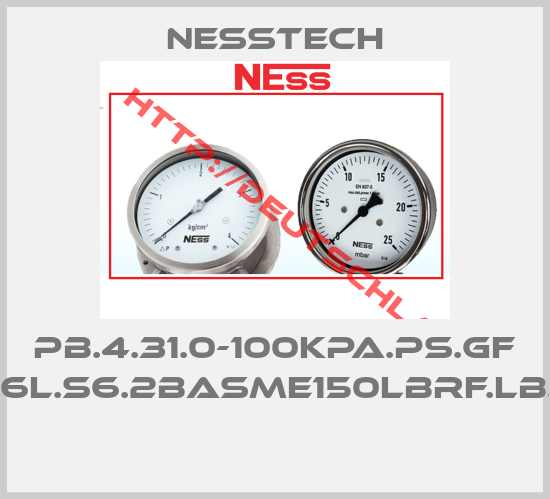 Nesstech-PB.4.31.0-100KPa.PS.GF CSK.S6L.S6.2BASME150LbRF.LB.PF.05 