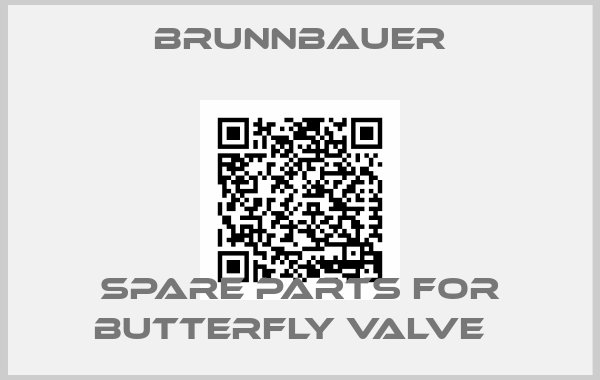 Brunnbauer-Spare parts for Butterfly valve  