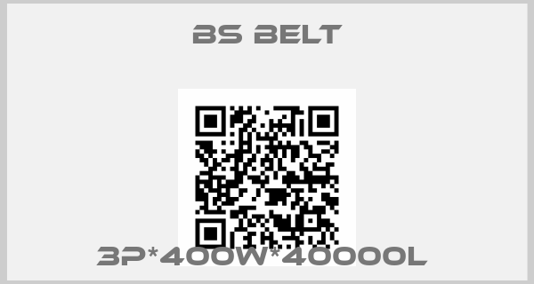 Bs Belt-3P*400W*40000L 