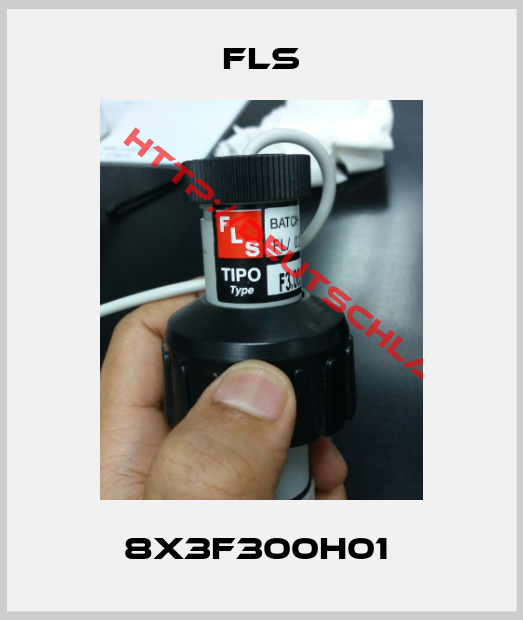 Fls-8X3F300H01 