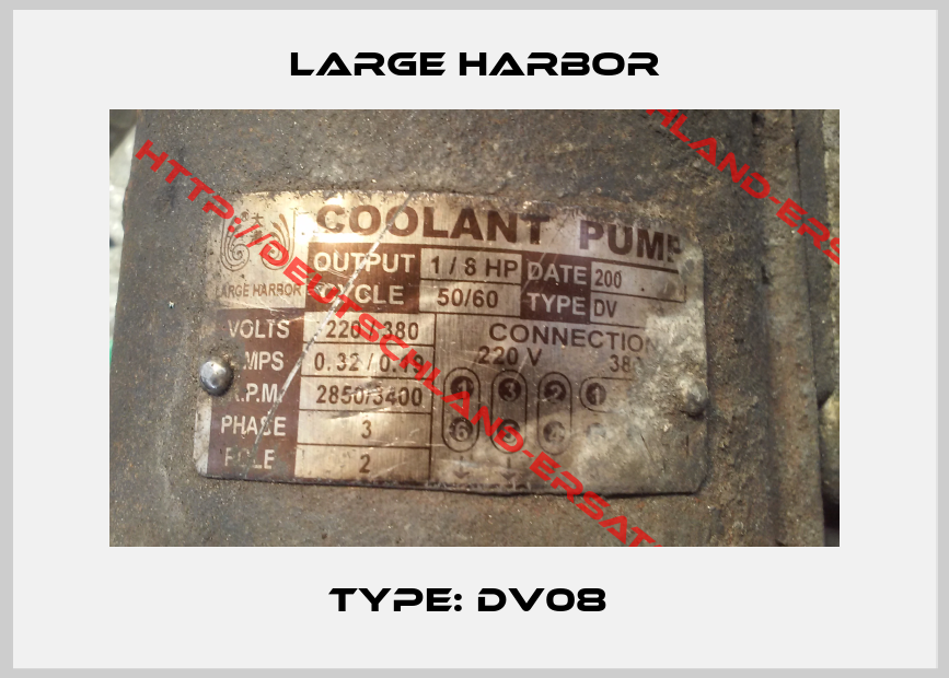 Large Harbor-Type: DV08 