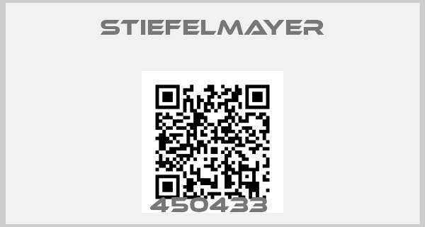 Stiefelmayer-450433 