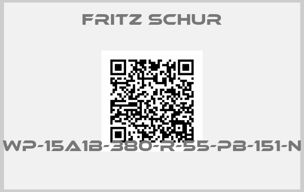 Fritz Schur-WP-15A1B-380-R-55-PB-151-N 