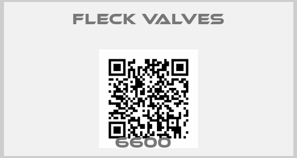Fleck Valves-6600  