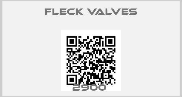 Fleck Valves-2900 