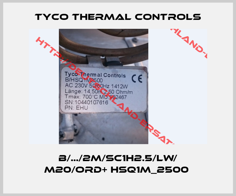 Tyco Thermal Controls-B/.../2M/SC1H2.5/LW/ M20/ORD+ HSQ1M_2500 