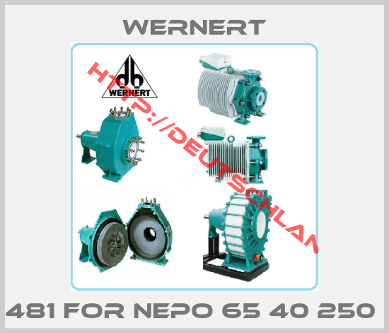 Wernert-481 FOR NEPO 65 40 250 