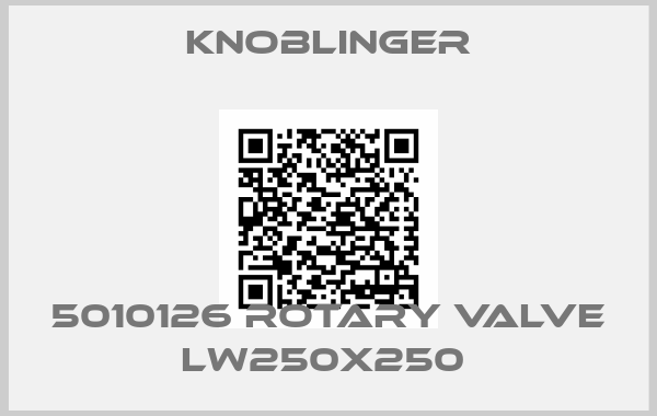 Knoblinger-5010126 ROTARY VALVE LW250X250 