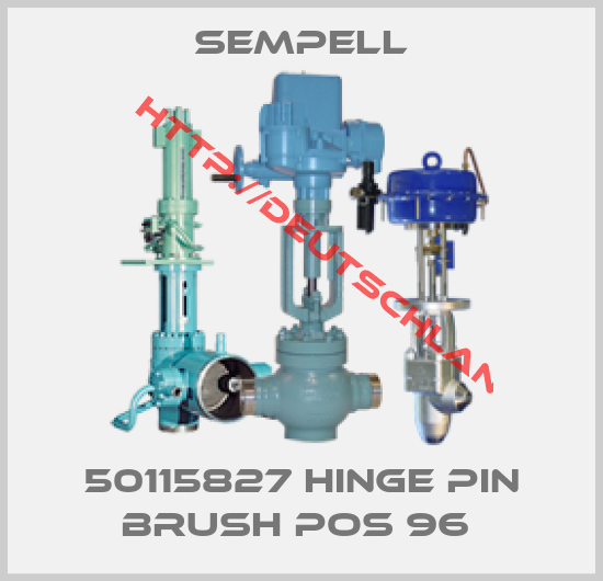 Sempell-50115827 HINGE PIN BRUSH POS 96 